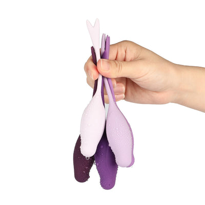 5pc/set Safe Silicone Smart Ball Kegel Ball Ben Wa Ball Vagina Tighten Exercise Machine Vibrators Vagina Ball Sex Toys for Women