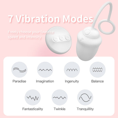 DRYWELL Vibrators for Women Wireless Remote Control Vagina Balls Wear Vibrating Panties Silent Sexy Toys for Quickly Orgasm