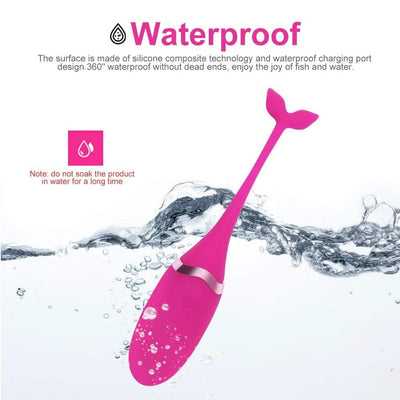 Leya Female Vibrating Egg 10 Speeds Jump Sex Eggs Vagina for Sex Adult Erotic Sex Toys for Women Sex Product Sexual Wellness